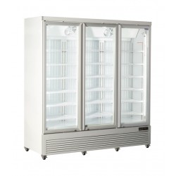 Espositore vetrina refrigerata verticale AFP/ RFG1900