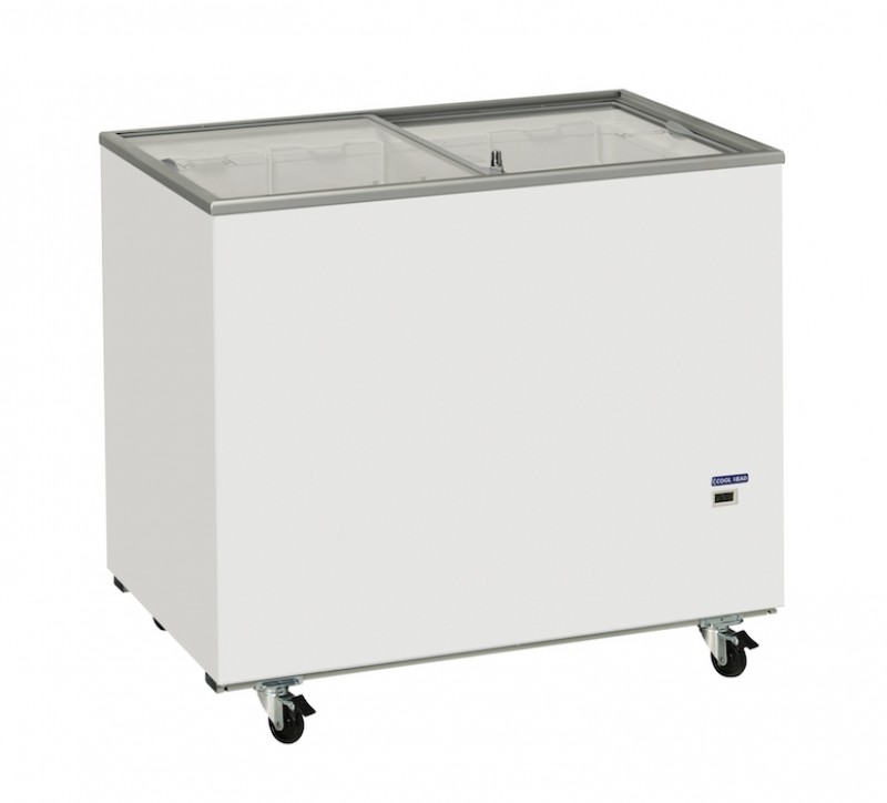 Professional chest freezer AFP / CFG308