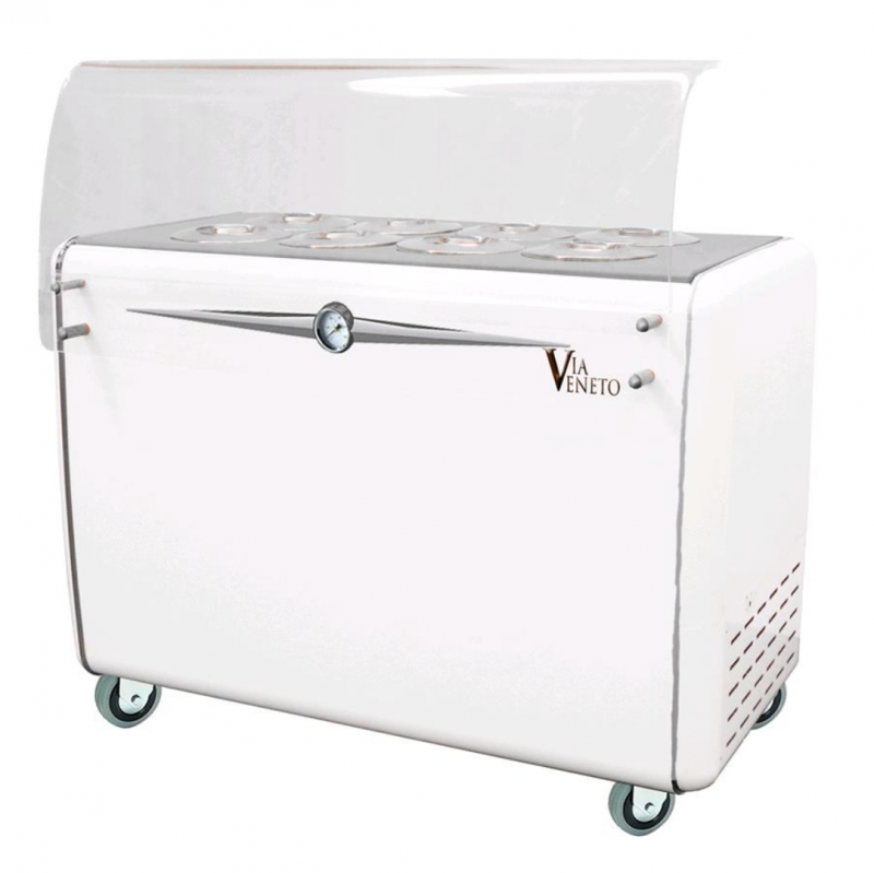 AFP / VIAVENETO8C ice cream preserver ice chest