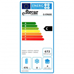 Professional vertical freezer AFP / ER600 in painted sheet and abs