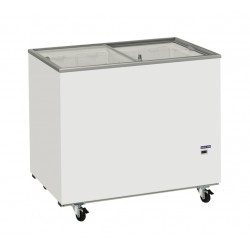 Professional chest freezer AFP / CFG308