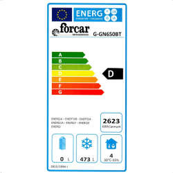 Professional vertical AFP / GN650BT freezer in stainless steel