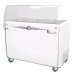 AFP / VIAVENETO8C ice cream preserver ice chest