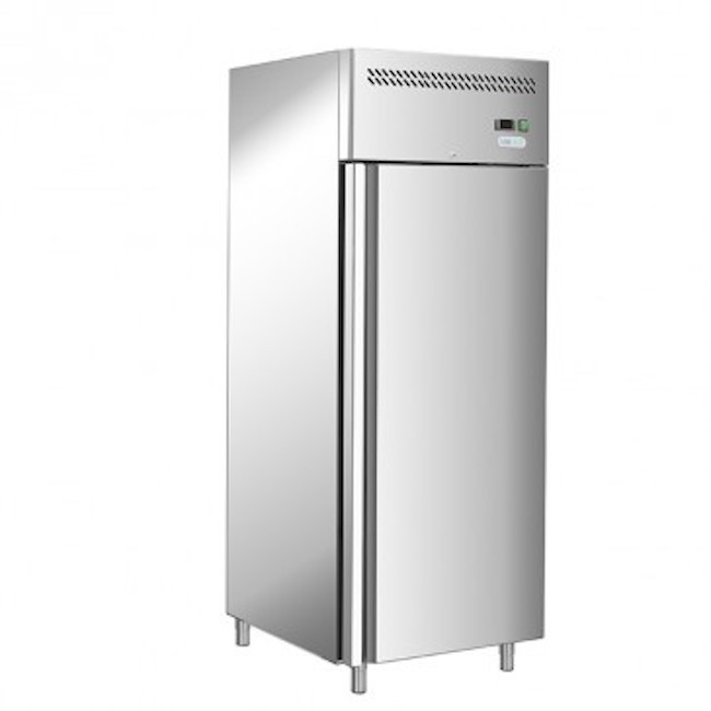 Professional vertical freezer AFP / G-GN650BT-FC